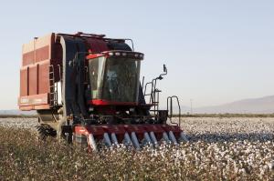 Case IH Cotton Express 420